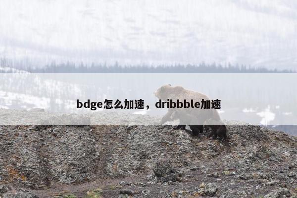 bdge怎么加速,dribbble加速 bdge怎么加速,dribbble加速