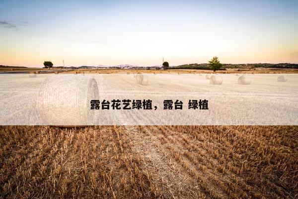 露台花艺绿植,露台 绿植 露台花艺绿植,露台 绿植