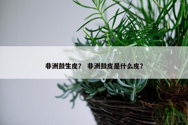 非洲鼓生皮？ 非洲鼓皮是什么皮？