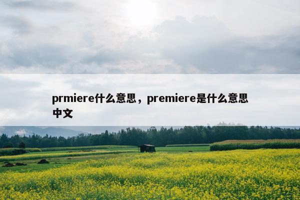 prmiere什么意思，premiere是什么意思中文