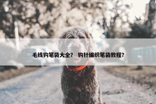 毛线钩笔袋大全? 钩针编织笔袋教程? 毛线钩笔袋大全? 钩针编织笔袋教程?