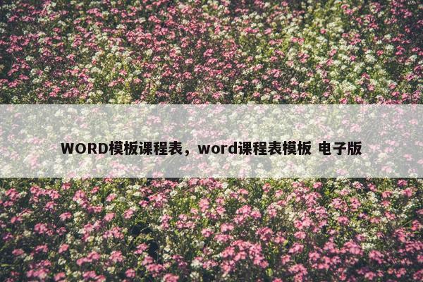 WORD模板课程表，word课程表模板 电子版