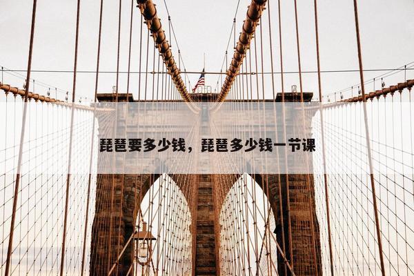 琵琶要多少钱,琵琶多少钱一节课 琵琶要多少钱,琵琶多少钱一节课