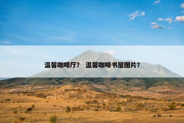 温馨咖啡厅？ 温馨咖啡书屋图片？