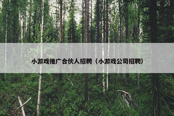 小游戏推广合伙人招聘（小游戏公司招聘）