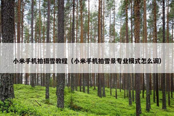 小米手机拍摄雪教程（小米手机拍雪景专业模式怎么调）