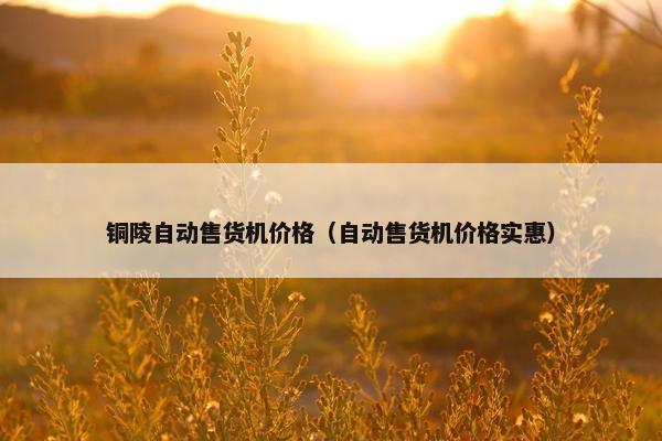 铜陵自动售货机价格（自动售货机价格实惠）