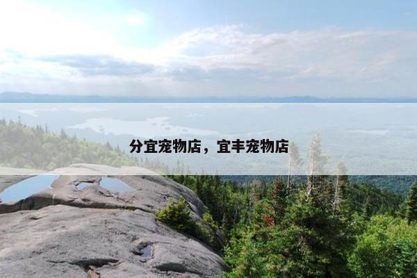 分宜宠物店,宜丰宠物店 分宜宠物店,宜丰宠物店