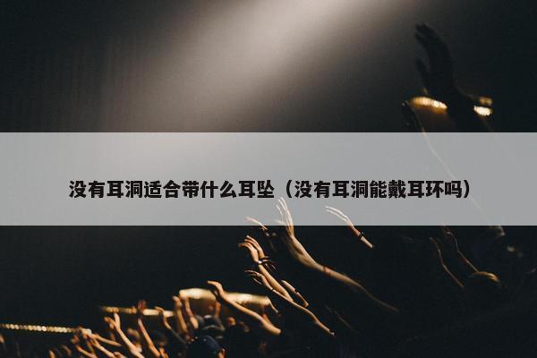 没有耳洞适合带什么耳坠（没有耳洞能戴耳环吗）