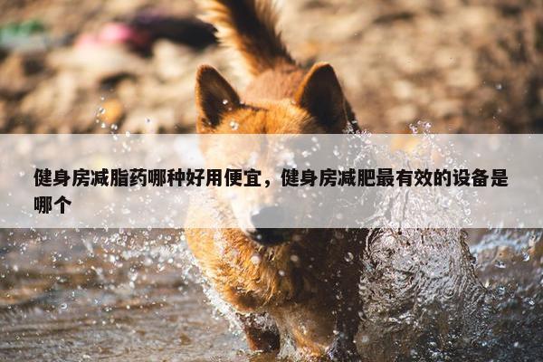 健身房减脂药哪种好用便宜，健身房减肥最有效的设备是哪个