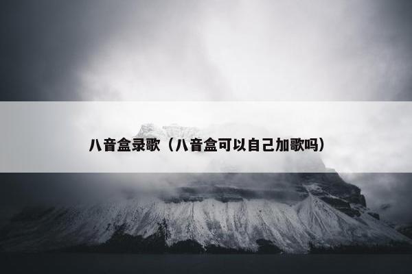 八音盒录歌（八音盒可以自己加歌吗）