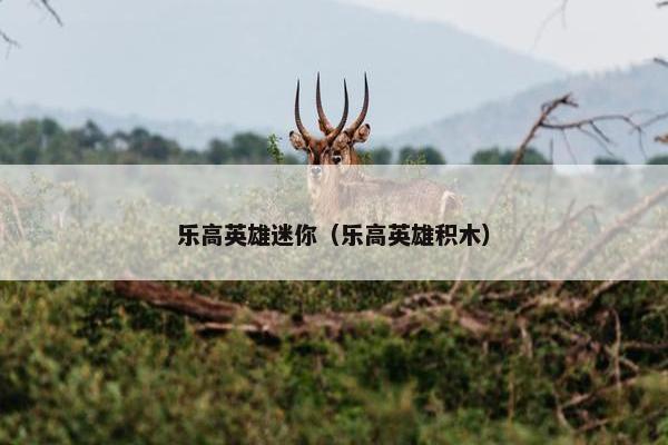 乐高英雄迷你（乐高英雄积木）