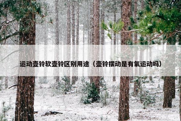 运动壶铃软壶铃区别用途（壶铃摆动是有氧运动吗）