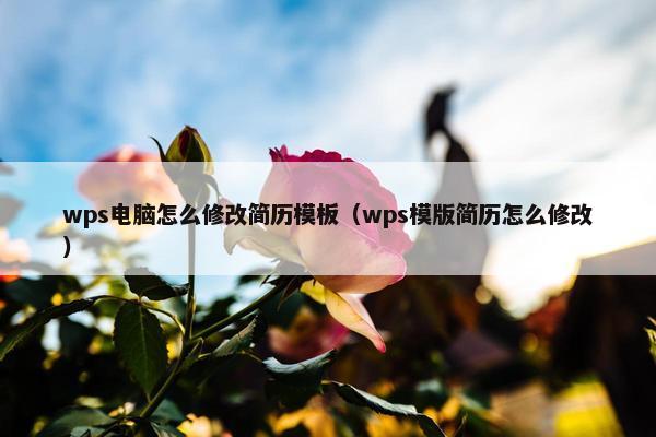 wps电脑怎么修改简历模板（wps模版简历怎么修改）