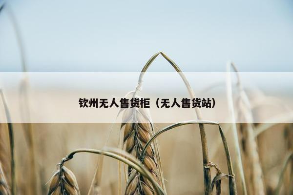 钦州无人售货柜（无人售货站）