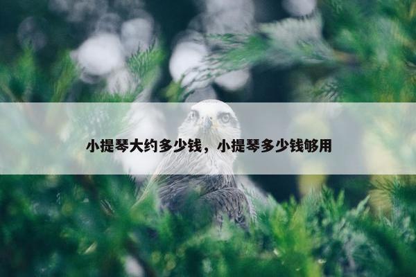 小提琴大约多少钱，小提琴多少钱够用