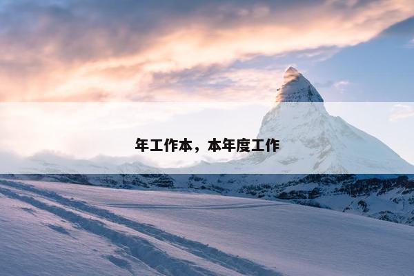年工作本，本年度工作