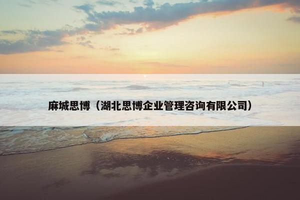 麻城思博（湖北思博企业管理咨询有限公司）