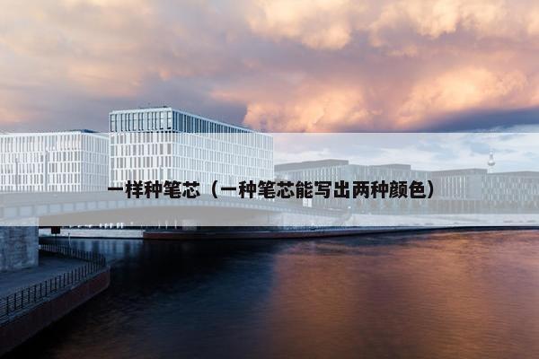 一样种笔芯（一种笔芯能写出两种颜色）