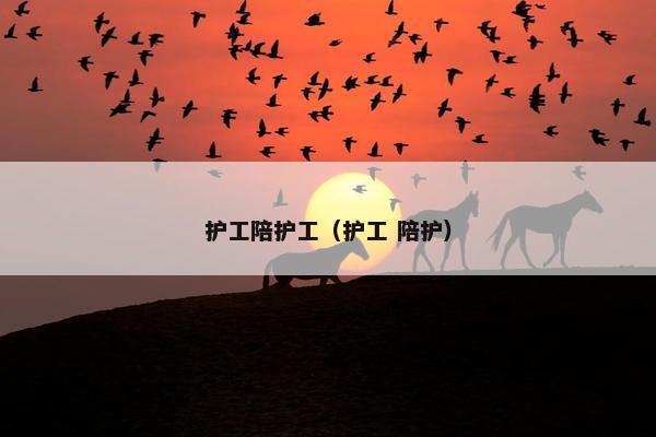 护工陪护工（护工 陪护）