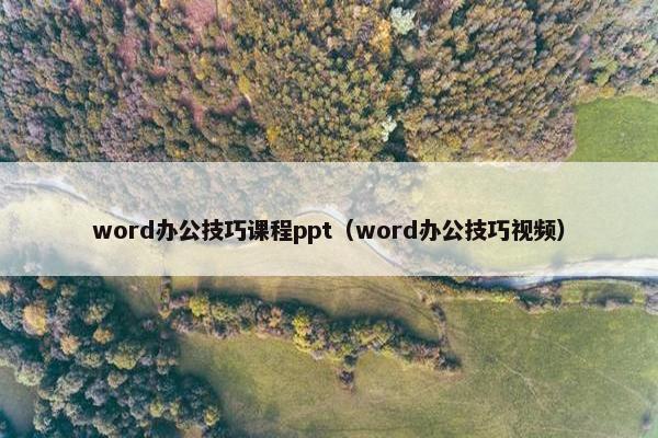 word办公技巧课程ppt（word办公技巧视频）