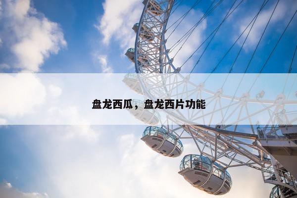 盘龙西瓜,盘龙西片功能 盘龙西瓜,盘龙西片功能