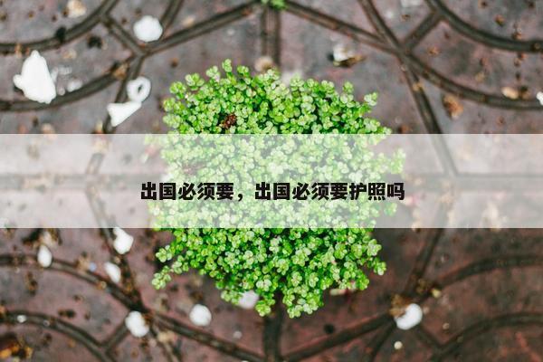 出国必须要，出国必须要护照吗
