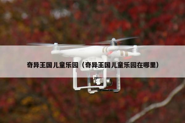 奇异王国儿童乐园（奇异王国儿童乐园在哪里）