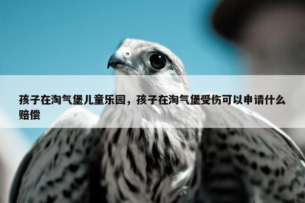 孩子在淘气堡儿童乐园,孩子在淘气堡受伤可以申请什么赔偿 孩子在淘气堡儿童乐园,孩子在淘气堡受伤可以申请什么赔偿