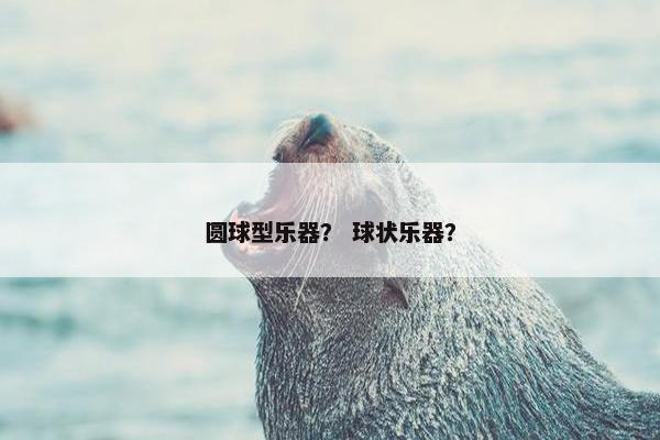圆球型乐器？ 球状乐器？