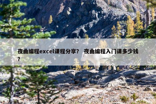 夜曲编程excel课程分享？ 夜曲编程入门课多少钱？
