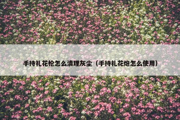 手持礼花枪怎么清理灰尘（手持礼花炮怎么使用）