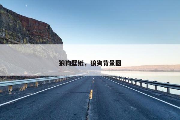 狼狗壁纸，狼狗背景图