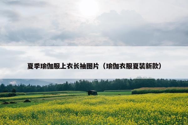 夏季瑜伽服上衣长袖图片（瑜伽衣服夏装新款）