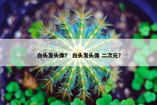 白头发头像？ 白头发头像 二次元？