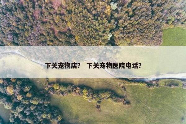 下关宠物店？ 下关宠物医院电话？