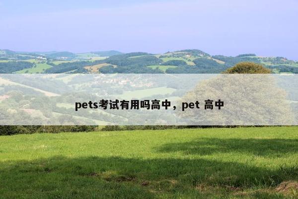 pets考试有用吗高中,pet 高中 pets考试有用吗高中,pet 高中