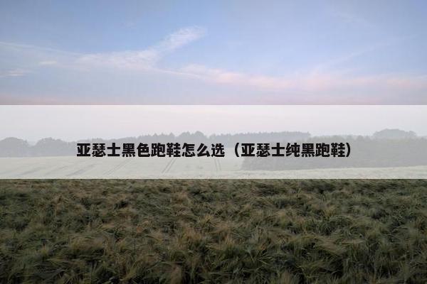 亚瑟士黑色跑鞋怎么选（亚瑟士纯黑跑鞋）