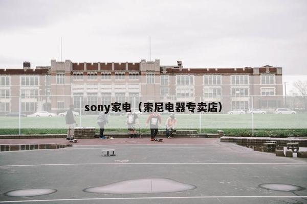 sony家电(索尼电器专卖店) sony家电(索尼电器专卖店)