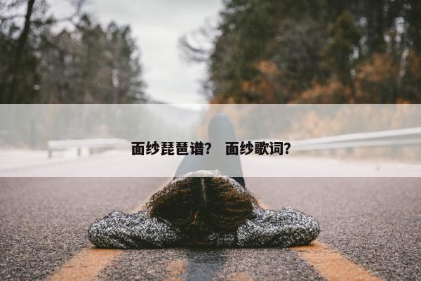 面纱琵琶谱？ 面纱歌词？