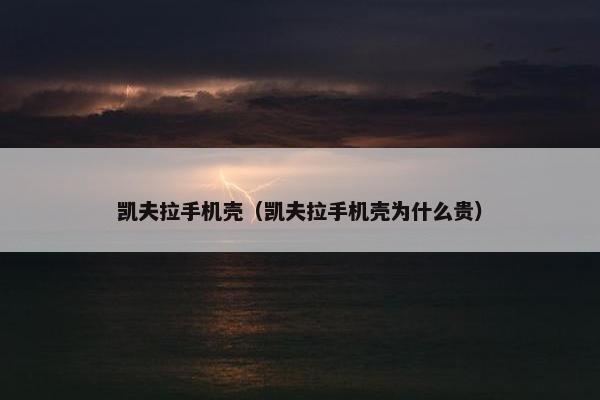 凯夫拉手机壳（凯夫拉手机壳为什么贵）