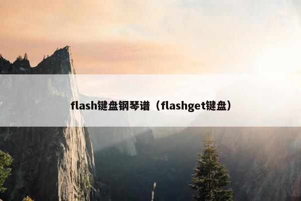 flash键盘钢琴谱(flashget键盘) flash键盘钢琴谱(flashget键盘)