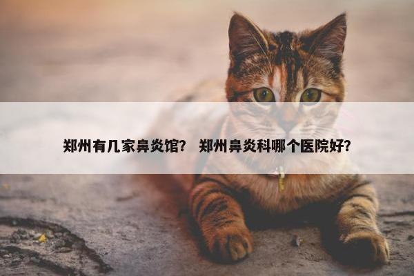 郑州有几家鼻炎馆？ 郑州鼻炎科哪个医院好？
