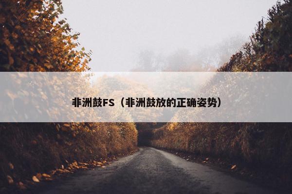 非洲鼓FS（非洲鼓放的正确姿势）