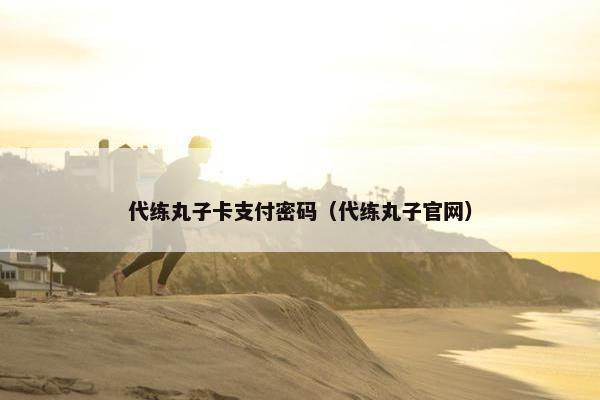 代练丸子卡支付密码（代练丸子官网）