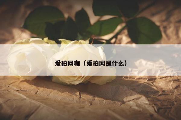 爱拍网咖（爱拍网是什么）