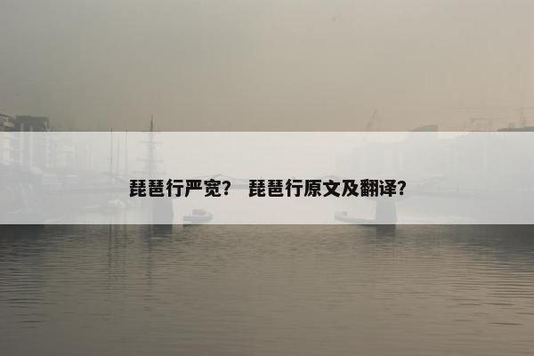 琵琶行严宽? 琵琶行原文及翻译? 琵琶行严宽? 琵琶行原文及翻译?