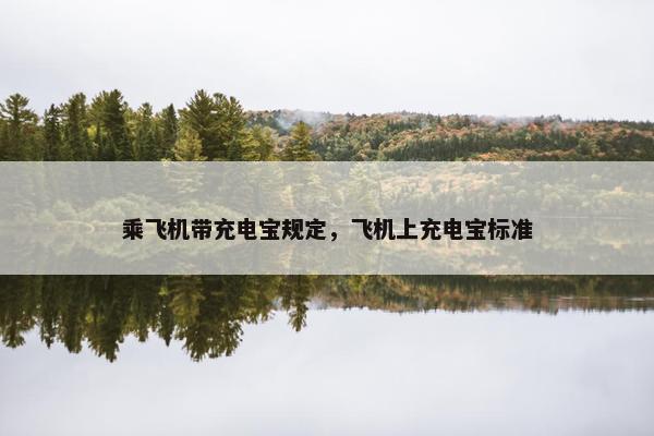 乘飞机带充电宝规定，飞机上充电宝标准