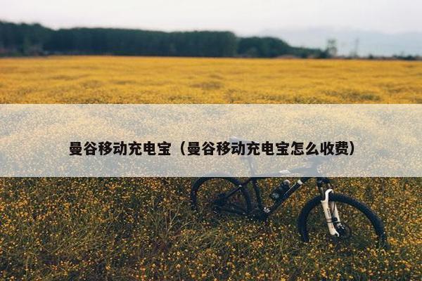 曼谷移动充电宝（曼谷移动充电宝怎么收费）