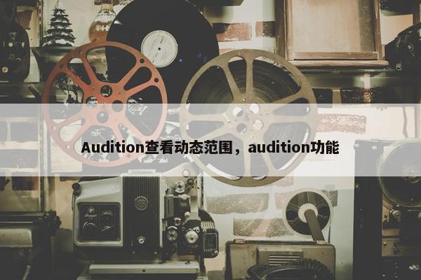 Audition查看动态范围，audition功能